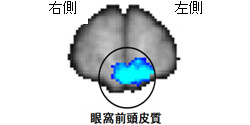 004.jpg