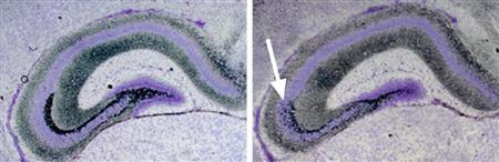 scn11082211210001-p1.jpg