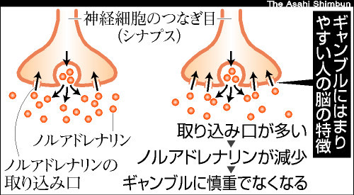 oSK201202210075.jpg